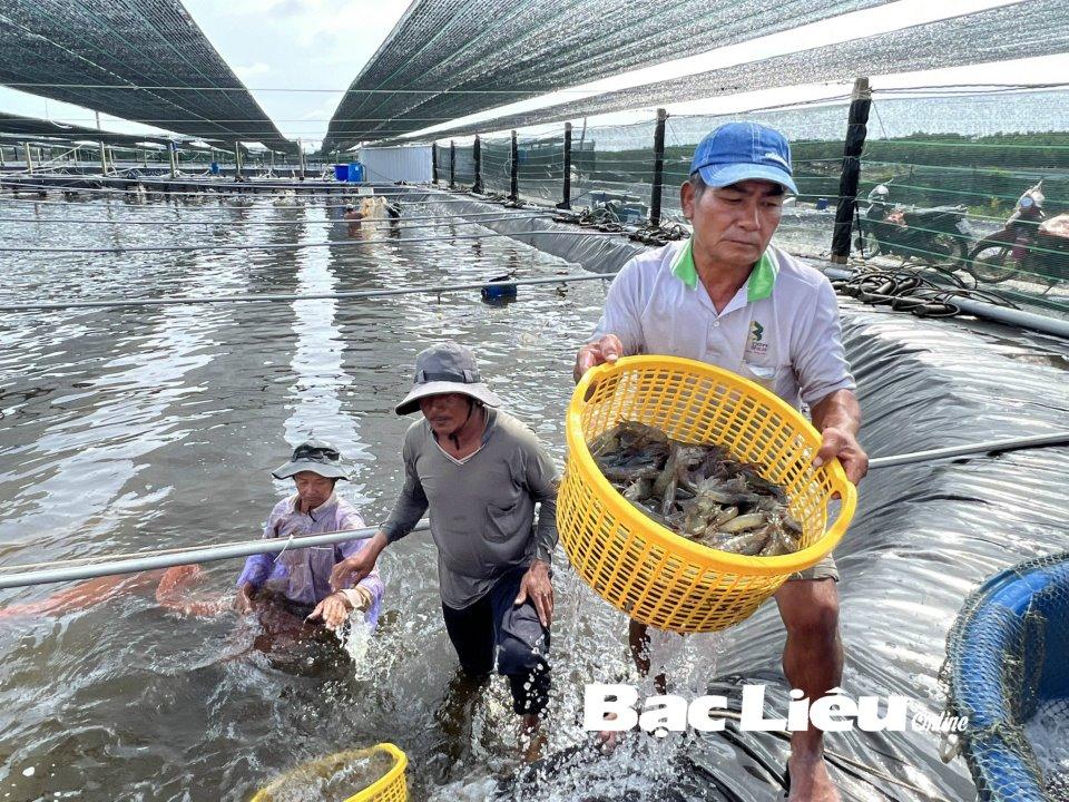 Các giải pháp địa kỹ thuật công trình cho nuôi trồng thủy sản công nghệ cao